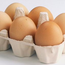 S11. Egg - ไข่ไก่