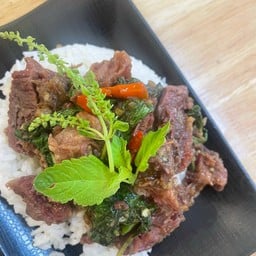 เมนูใหม่ ข้าวกะเพราเนื้อตุ๋น