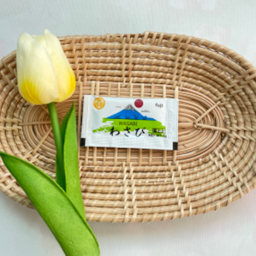 วาซาบิซอง