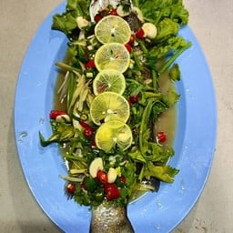 ครัวภิรมย์ อาหารป่า ปักษ์ใต้ตามสั่ง