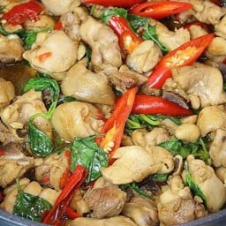 ข้าวราดไก่ผัดโหระพา