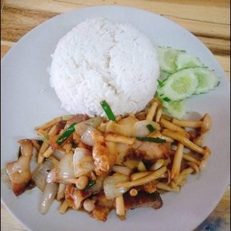 ข้าวราดผัดน้ำมันหอย