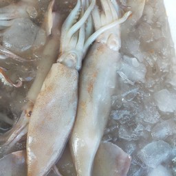 เศรษฐีอาหารทะเล สดและเผา