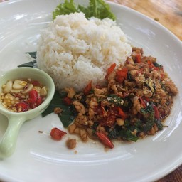 ข้าวกะเพราไก่
