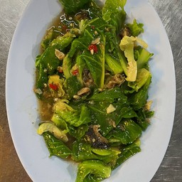 แขนงปลาเค็ม