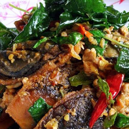 ผัดกระเพราไข่เยี่ยวม้า
