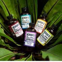 Kombucha ( Hersh's ) Gingerade