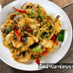 ผัดฉ่าปลาช่อนนา สด-ทอดกรอบ
