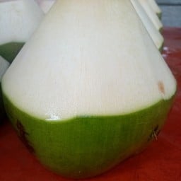 มะพร้าวน้ำหอม บังดีน พังงา