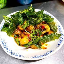 ไข่เยี่ยวม้าทอดราดพริกใบกระเพรากรอบ