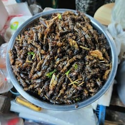 น้ำพริกโคราช - ตลาดยงเจริญ