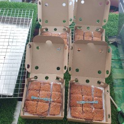 โตเกียว บ้าบิ่น Zenerio ซอย13 63/135