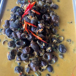 หอยจุ๊บ