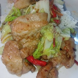 หมูผัดผักกาดขาวราดข้าว