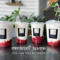 ชาลำดี CHA LUM: DEE สาขาท่าวังตาล