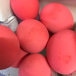 ไข่เยี่ยวม้า