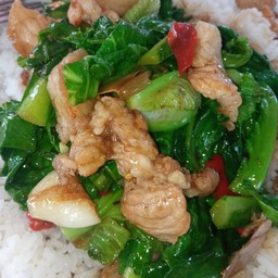 คะน้าหมูชิ้นราดขาว