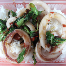 ข้าวราดกระเพาปลาหมึก