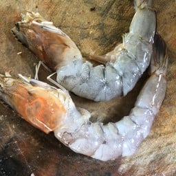 เพิ่มกุ้ง