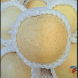 ร้านมิ้นท์ผลไม้ ตลาดเทศบาล1