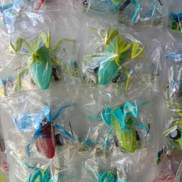 รถจิ๋วตั๊กแตน