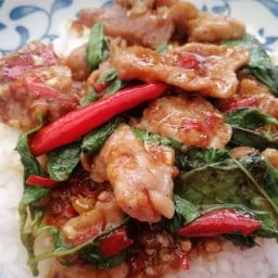 อาหารตามสั่ง หมูทอด บ้านสิงห์ (พันท้าย)