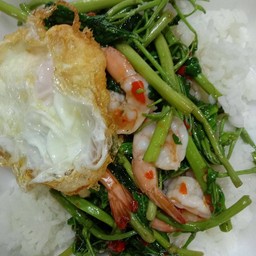 กระเฉดผัดกุ้ง+ไข่ดาว