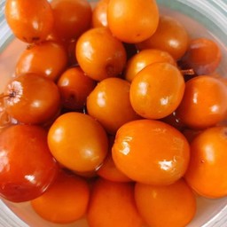 พุทราดอง