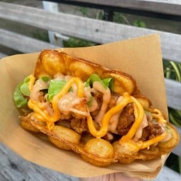 Waffle's House   Greek yogurt x วาฟเฟิลฮ่องกง & รามยอนไก่กรอบ (halal) สถานฑูตลาว