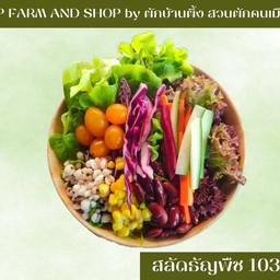 VIP FARM AND SHOP BY ผักบ้านผึ้ง สวนผักคนเมือง