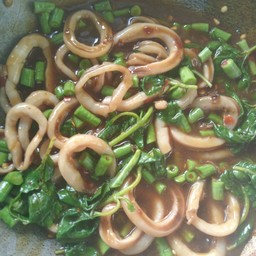 กะเพราปลาหมึก ( เป็นกับข้าว )