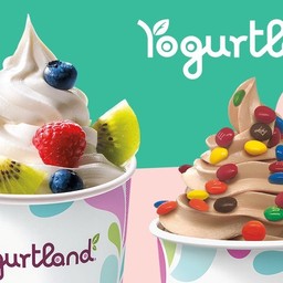 Yogurtland DC หมู่บ้านชลิดา คลอง 3