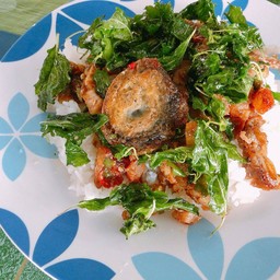 ข้าวกระเพราไข่เยี่ยวม้าหมูกรอบ