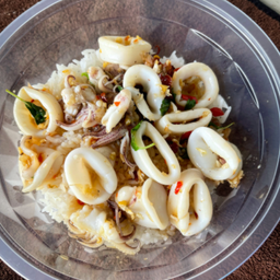 ข้าวหน้ากะเพราปลาหมึก