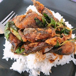 ข้าวพริกเเกงปลาดุก