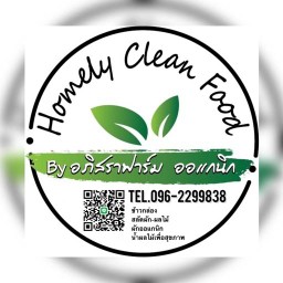 Homely Clean Food