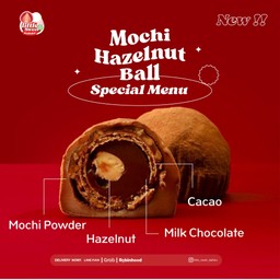 Mochi Hazelnut Ball