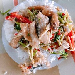 ข้าวปลาผัดคื่นช่าย