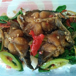 กะเพรา ปลาดุกกรอบ