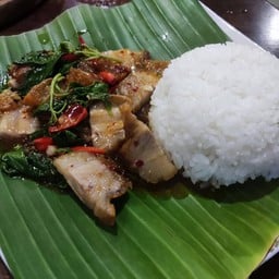 กะเพราหมูกรอบ