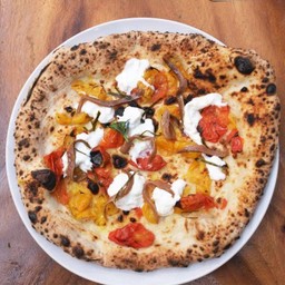 Mediterranean  (R)