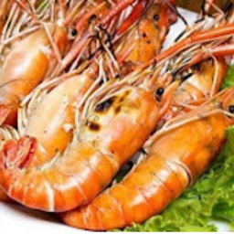 กินซีฟู๊ด  สาขาบ้านท่อ