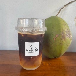น้ำมะพร้าวปั่นนมสด กาแฟสด
