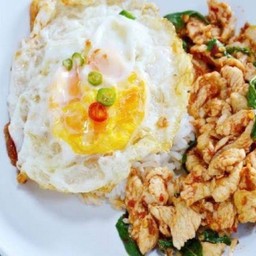 กระเพราไก่ ราดข้าว