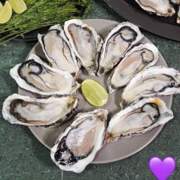 หอยนางรมสดชุด 6 ตัว(ขนาดไซส์จัมโบ้เท่าฝ่ามือ)