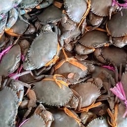 ปูไข่ไซส์ 8-10 ตัวโล