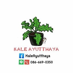 KaleAyutthaya