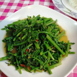 ผัดผักกูด