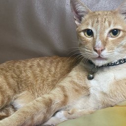 พี่ปูนี่