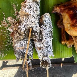 ปลาหมอใหญ่